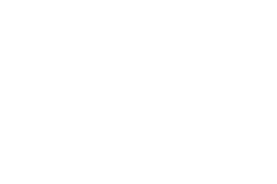 ODG Development